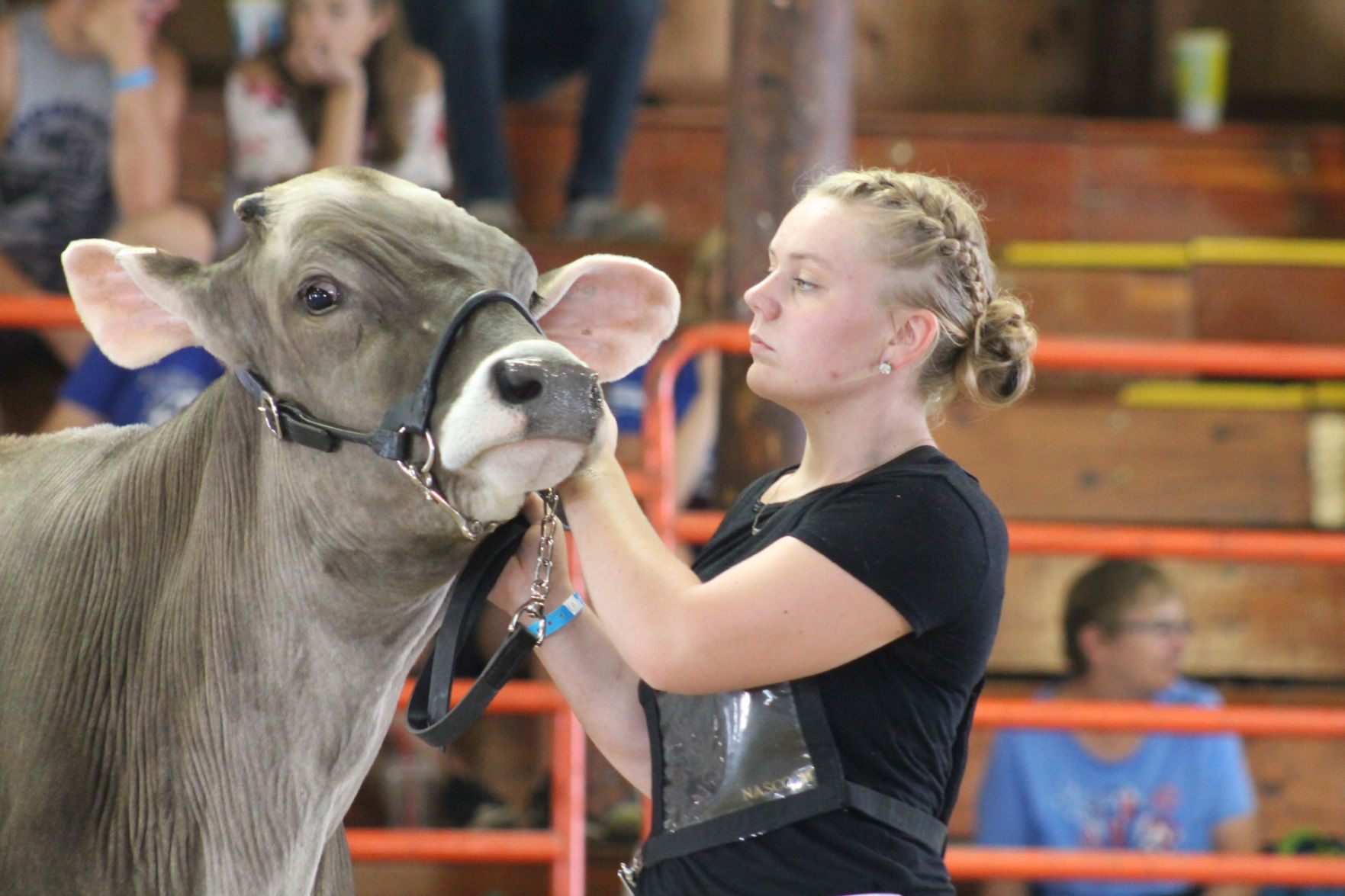 Thurs. DC Fair 016.JPG